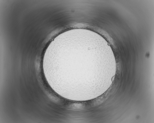 X0000116630159201001221408