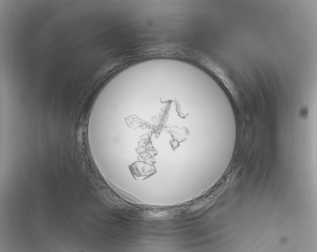 X0000116630161201001221408