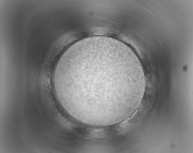 X0000116630162201001221408