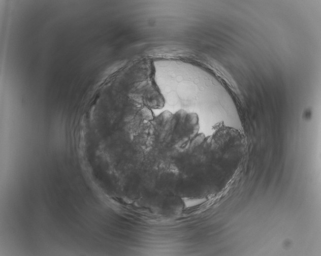 X0000116630163201001221408