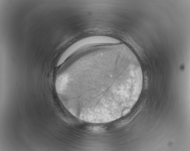 X0000116630165201001221408