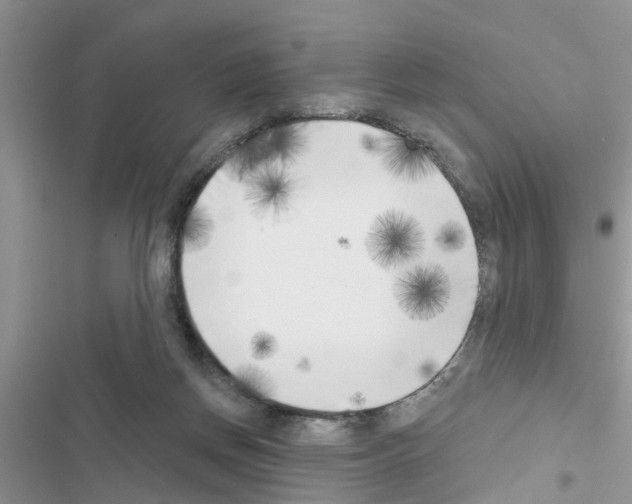 X0000116630166201001221408