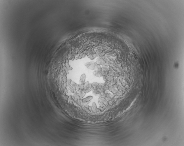 X0000116630167201001221408
