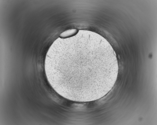 X0000116630170201001221408