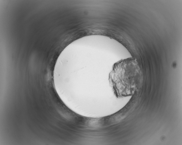 X0000116630173201001221408