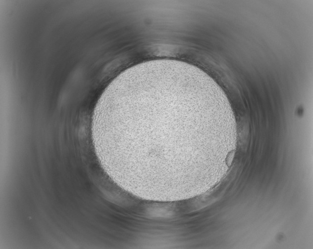 X0000116630175201001221408