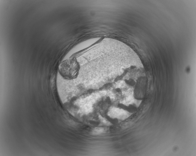 X0000116630177201001221408