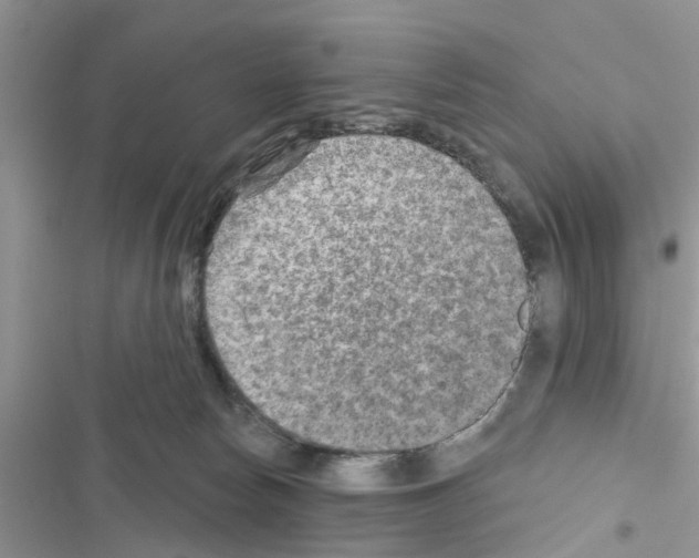 X0000116630178201001221408