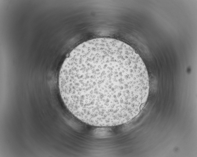 X0000116630179201001221408