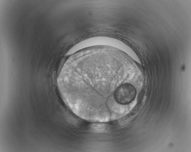 X0000116630181201001221408