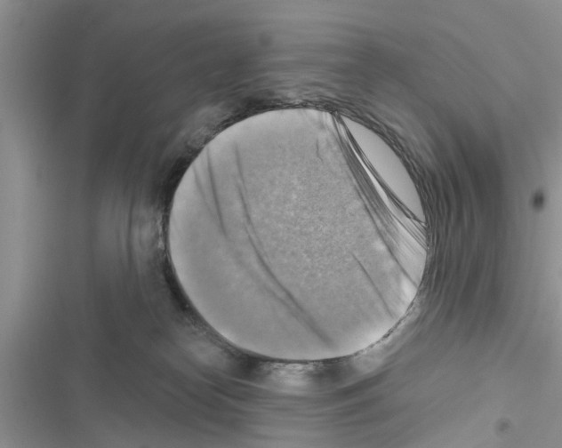 X0000116630182201001221408
