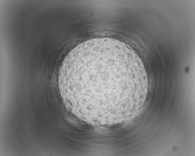 X0000116630183201001221408