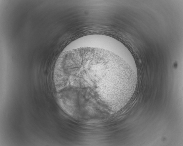 X0000116630185201001221408
