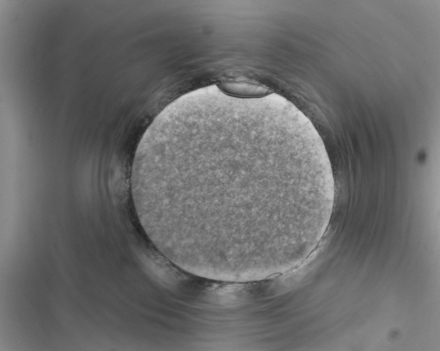 X0000116630186201001221408