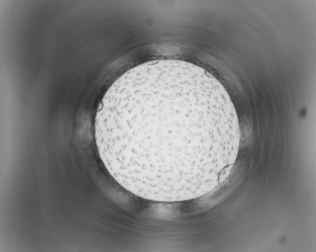 X0000116630187201001221408