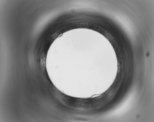 X0000116630190201001221408