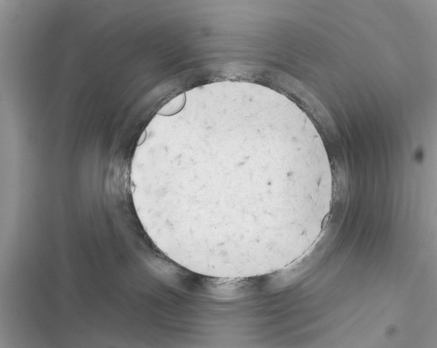 X0000116630191201001221408