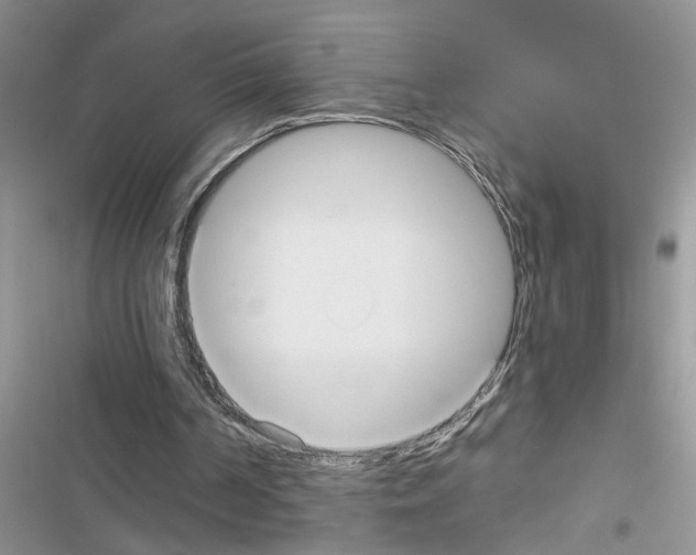 X0000116630194201001221408