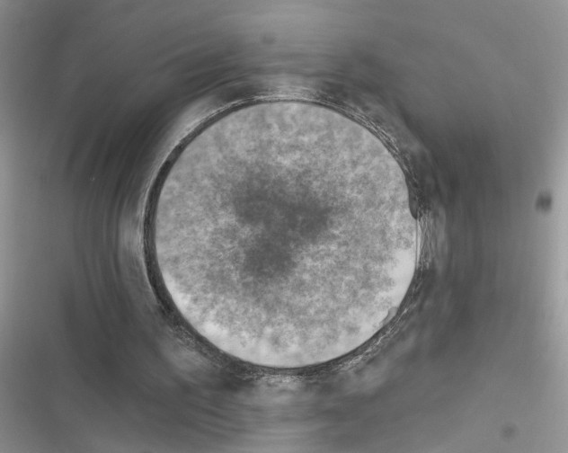 X0000116630195201001221408