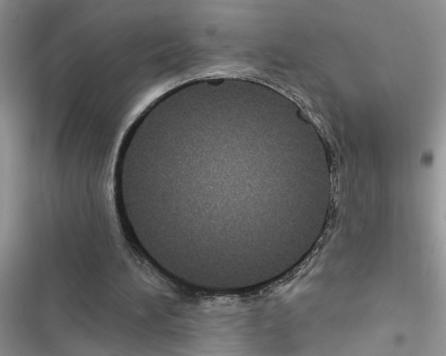 X0000116630196201001221408