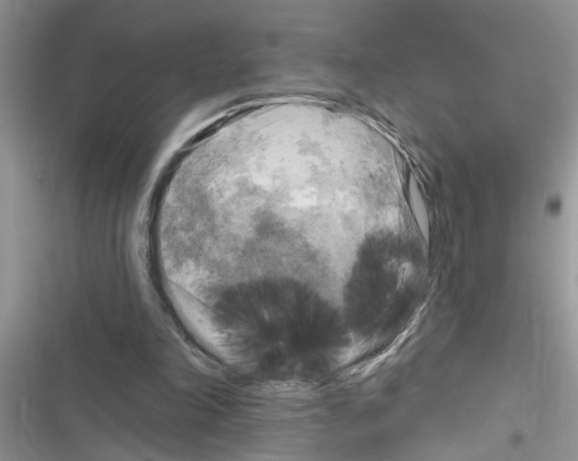 X0000116630198201001221408