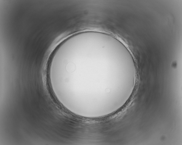 X0000116630199201001221408