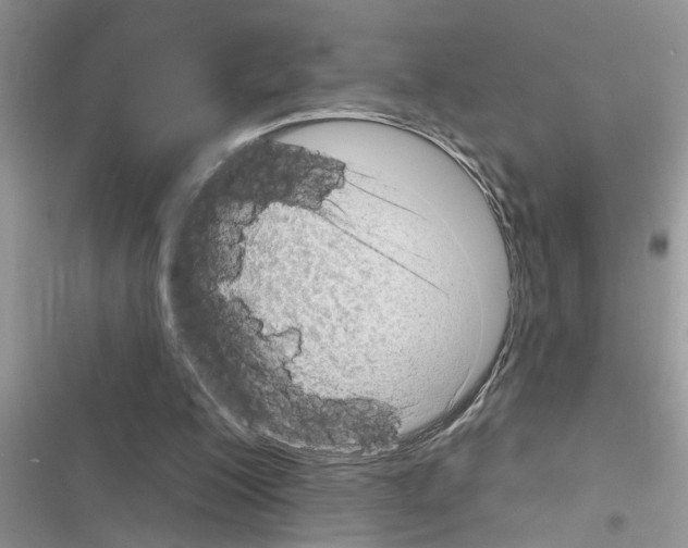 X0000116630200201001221408