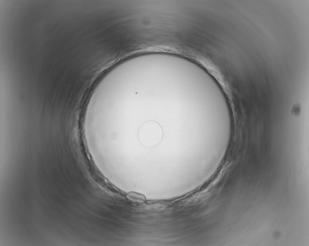 X0000116630201201001221408