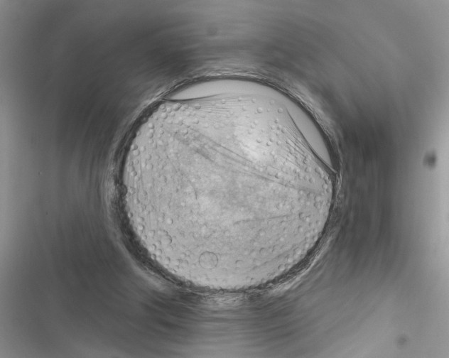 X0000116630202201001221408