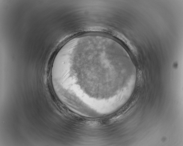 X0000116630203201001221408