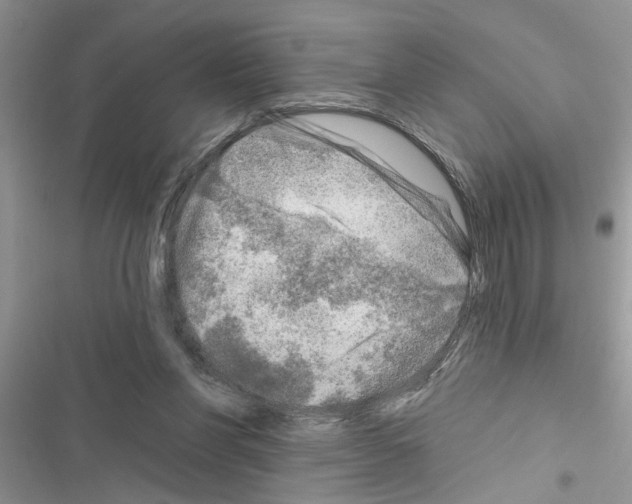 X0000116630206201001221407