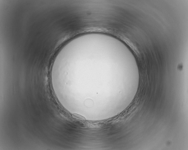 X0000116630207201001221407