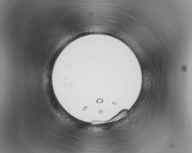 X0000116630208201001221407