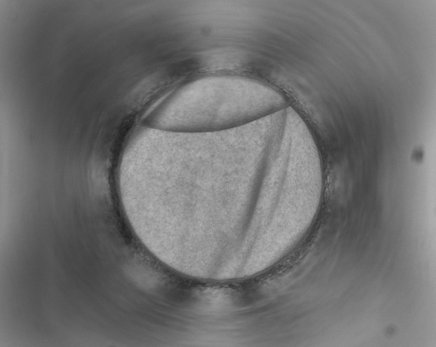X0000116630209201001221407