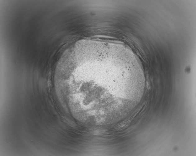 X0000116630210201001221407