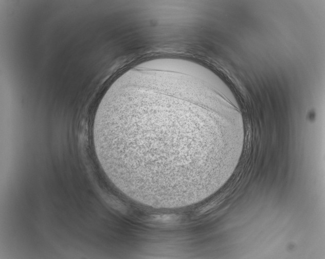 X0000116630212201001221407