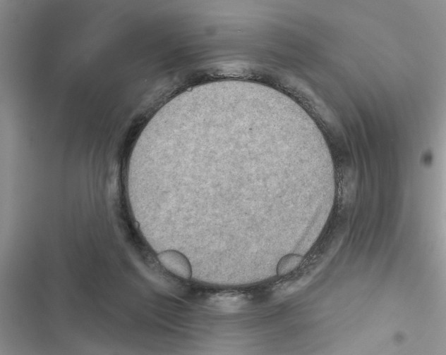 X0000116630213201001221407