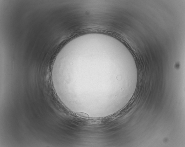 X0000116630215201001221407