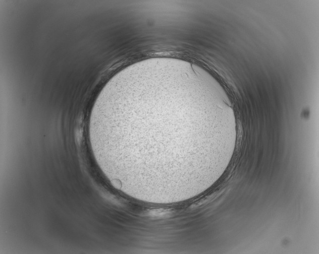 X0000116630216201001221407