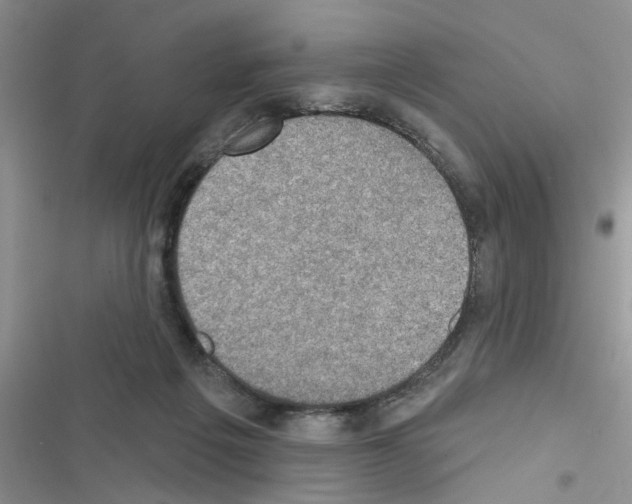 X0000116630217201001221407