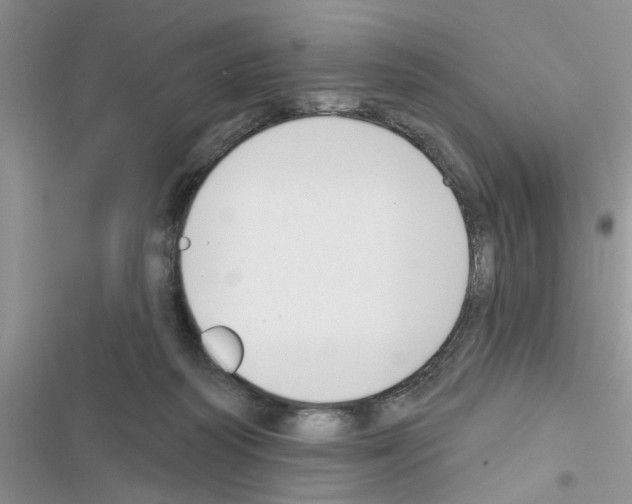 X0000116630218201001221407