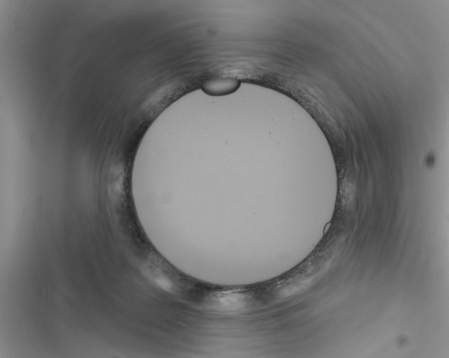 X0000116630219201001221407
