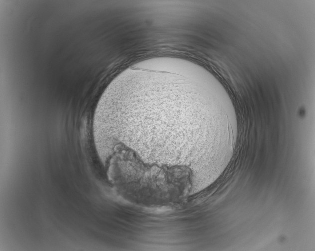 X0000116630220201001221407