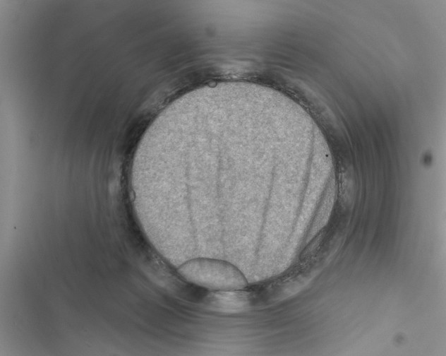 X0000116630221201001221407