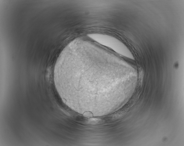 X0000116630222201001221407