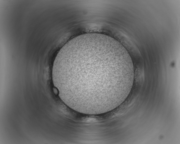 X0000116630224201001221407