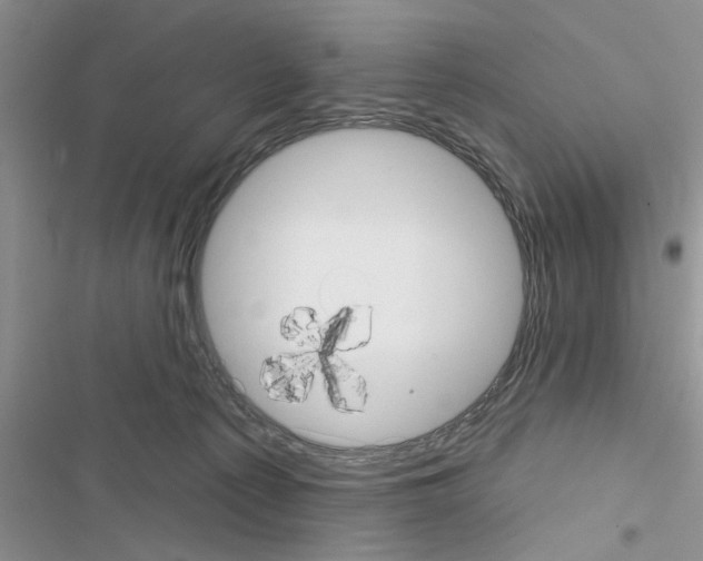 X0000116630225201001221407