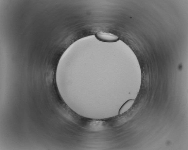 X0000116630227201001221407