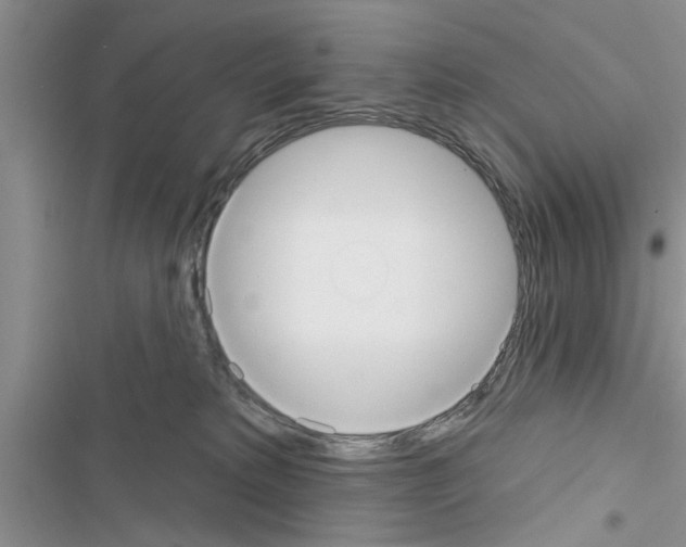 X0000116630229201001221407