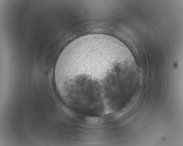 X0000116630230201001221407